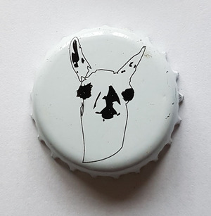 Altiplano, Altiplano